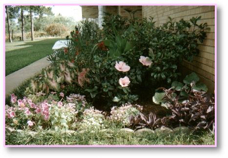PinkGarden.jpg